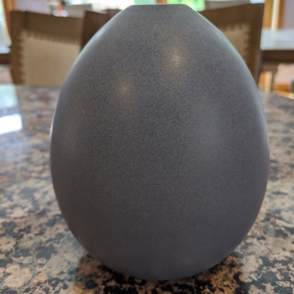 West Elm Egg Vase🥚